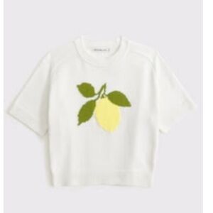 The A&F Madeline Lemon Crew Sweater Tee
